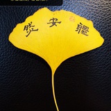 体安然·曾榕凭