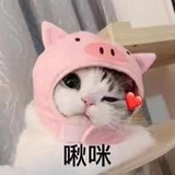 vava_pro