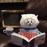 无爱无爱纪