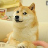狂流
