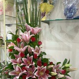 落花殇