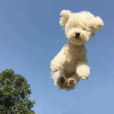 怎么这么好吃！