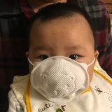 boxingrabbit