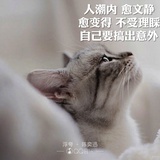 光影下的思考者