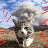 溪宝