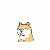 羞羞猪猪