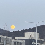 响子响亮亮