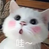 檬夏夏