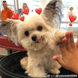 淡定的疯狂
