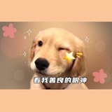 理维解界
