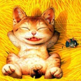 爱吃肉的猫