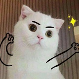 清欢