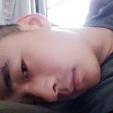 放养的羊