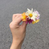 那些花儿