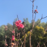 欣欣乖乖