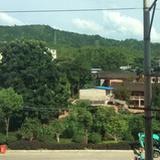 废柴鬼姐姐