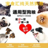 猫猫狗狗