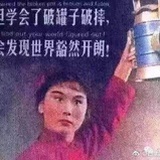 智智