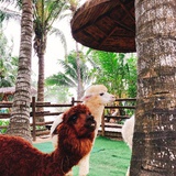 此處心安是我嚮