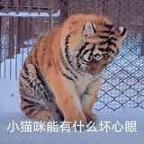 韩先生有一科