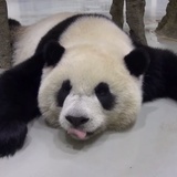 小幸运