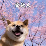 粥粥Map
