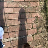 知道不知道