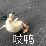 金钟爸
