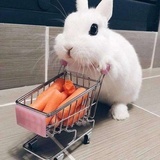 肯地