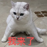 ohyoonktice