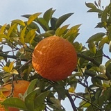 m2
