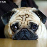 呵呵