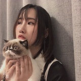 蜻蜓