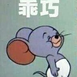 灿烂的猪儿