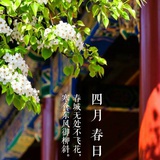 蜀箐