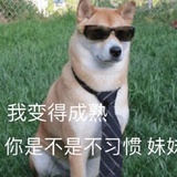 梁山滴小熊兔子