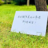 多多洛的每一天