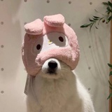 叶子