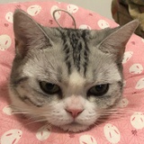 沫