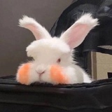 念着你的小幸运