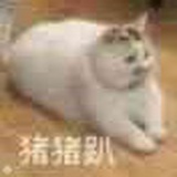 吃货菌子君
