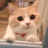 galaxy_jianjian