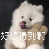 蘇魚