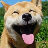 阿言