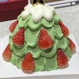小丛小虫小葱小