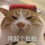 昂偶