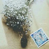 芦笙