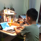 小鑫小鑫