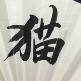 知食分子