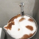 楠儿